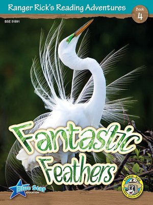 cover image of Fantastic Feathers